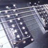 WP_003812.jpg