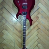 WP_003813.jpg