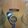 WP_003834.jpg