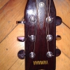 WP_003835.jpg