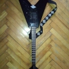 WP_003853.jpg
