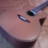 WP_003916.jpg