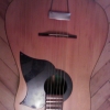 WP_003936.jpg