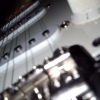 WP_003946.jpg