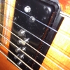 WP_004010.jpg