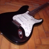 WP_004037.jpg