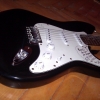 WP_004038.jpg
