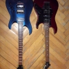 WP_004040.jpg