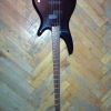 WP_004080.jpg