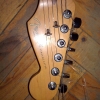 WP_004087.jpg