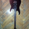 WP_004111.jpg