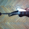 WP_004117.jpg