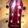 WP_004137.jpg
