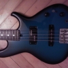 WP_004154.jpg