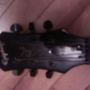 WP_004161.jpg