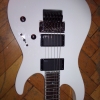 WP_004268.jpg