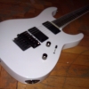 WP_004271.jpg