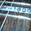 WP_004273.jpg