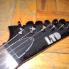 WP_004278.jpg