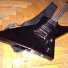 WP_004279.jpg