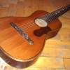 WP_004292.jpg