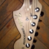 WP_004295.jpg