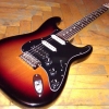 WP_004297.jpg