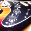 WP_004298.jpg