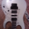 WP_004309.jpg