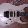 WP_004310.jpg