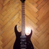 WP_004313.jpg