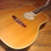 WP_004323.jpg