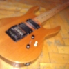 WP_004330.jpg