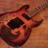WP_004334.jpg