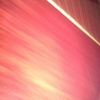 WP_004354.jpg