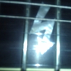WP_004358.jpg