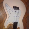 WP_004368.jpg