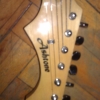 WP_004369.jpg