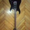 WP_004371.jpg