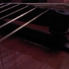 WP_004392.jpg