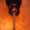 WP_004398.jpg