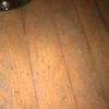 WP_20160604_15_42_50_Pro.jpg