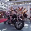 orig_WP_005400.jpg
