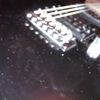 orig_WP_006363.jpg