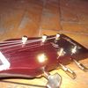 orig_WP_006470.jpg