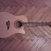 orig_WP_006835.jpg