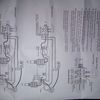 orig_WP_006883.jpg