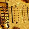 thumb_P1060831~0.JPG