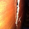 thumb_WP_000028.jpg