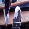 thumb_WP_000203.jpg